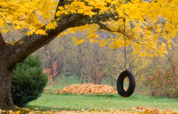Autumn, leaves, wheel