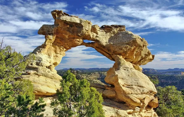 The sky, clouds, trees, rocks, arch, USA, Utah, Sandstone