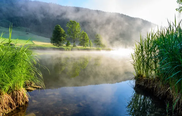 Picture fog, lake, morning