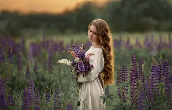 Field, summer, girl, flowers, nature, bouquet, dress, brown hair