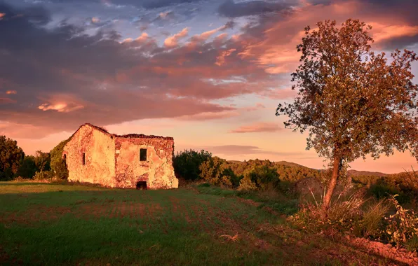 Field, autumn, the sky, grass, clouds, light, sunset, clouds