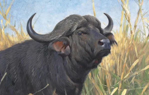 Picture 1913, German painter, Friedrich Wilhelm Kunert, German painter, Friedrich Wilhelm Kuhnert, A Buffalo, Buffalo