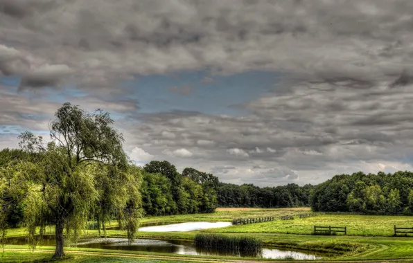 Picture field, the sky, clouds, trees, pond, the fence, meadow