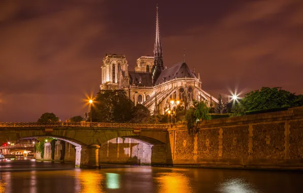 Picture the sky, night, bridge, Paris, lights, channel, temple, Notre-Dame de Paris