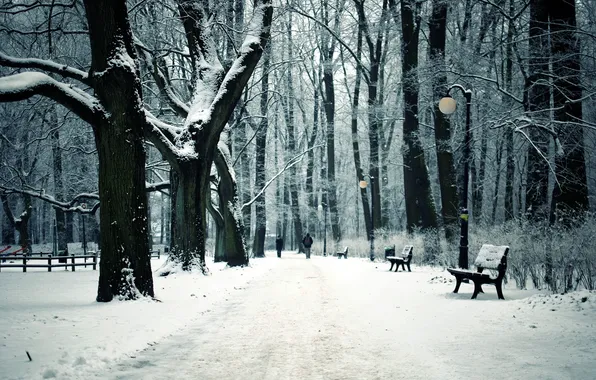 Winter, the city, Park, bench