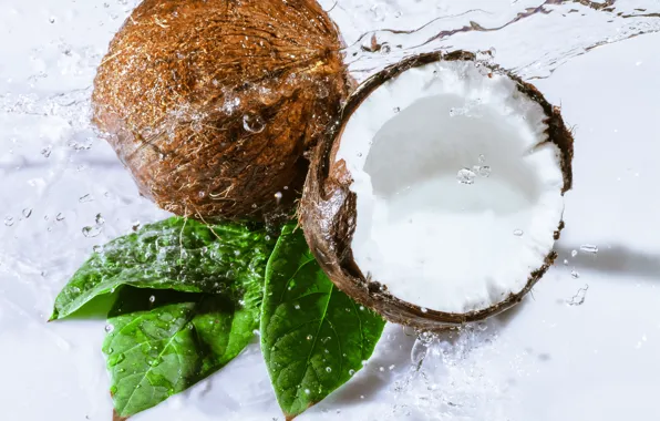 Leaves, water, coconut