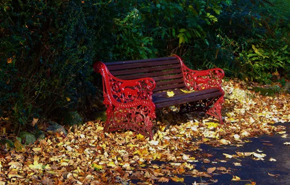 Bench, Park, foliage, Autumn, falling leaves, park, autumn, leaves