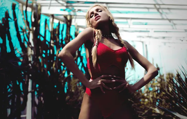Swimsuit, pose, hands, figure, braids