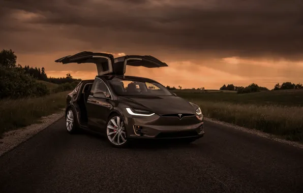 The evening, Tesla, Model X