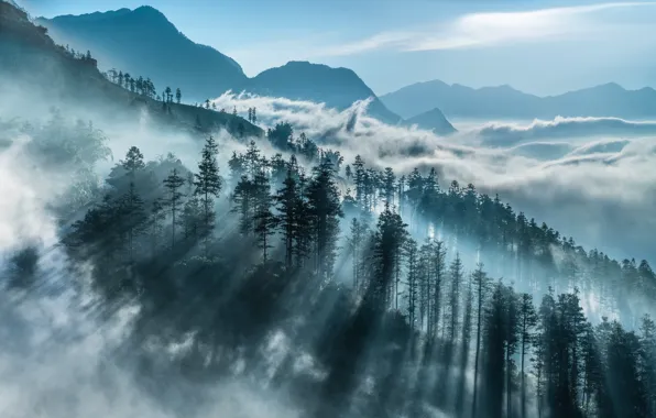 Mountains, fog, morning