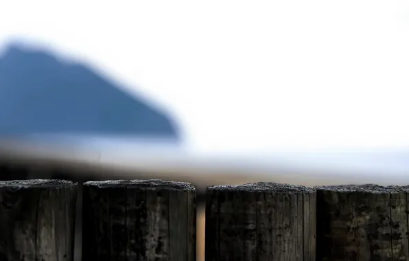 Macro, background, the fence