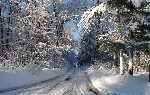 Winter, road, forest, snow, frost, Wisconsin, USA, USA