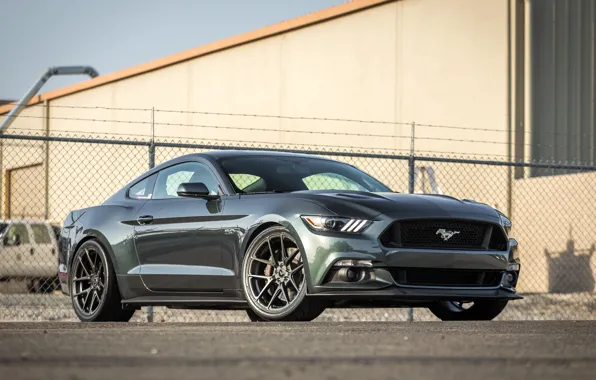 Picture Mustang, Ford, Vorsteiner