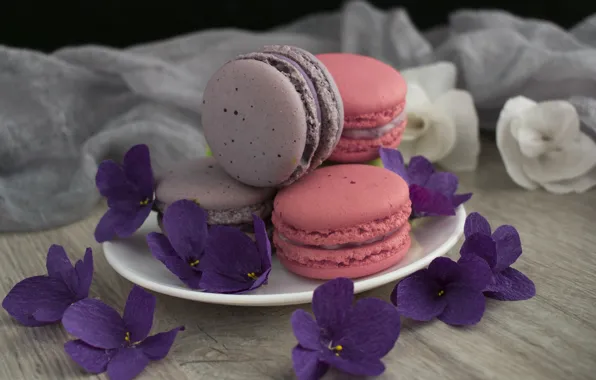 Flowers, cakes, violet, macaroon