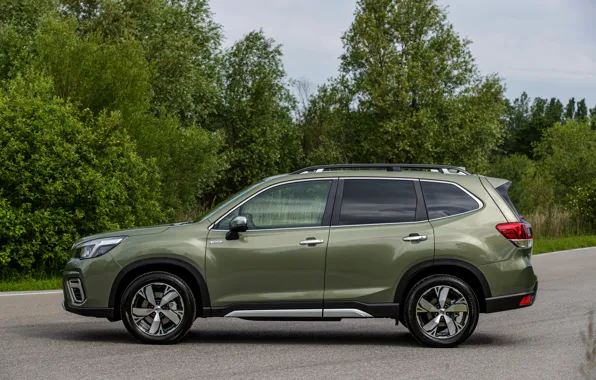 Trees, Subaru, side, crossover, Forester, 2019