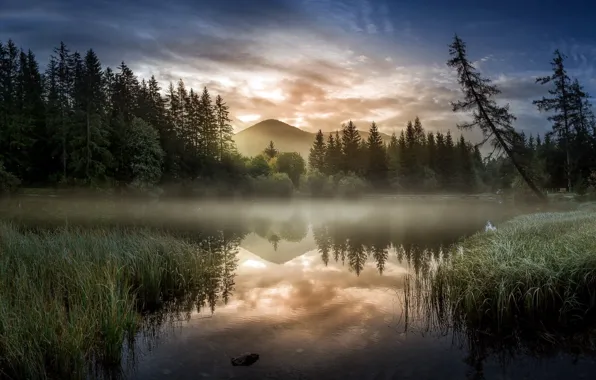 Picture autumn, nature, fog, lake, morning