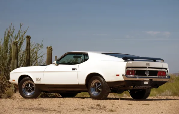 White, the sky, Mustang, Ford, Ford, 1971, Mustang, cacti