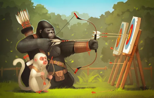Picture forest, bow, art, monkey, gorilla, arrows, Archer, training