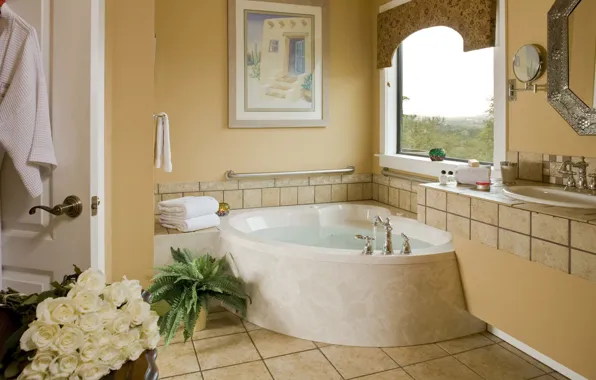 Picture bathroom, interior, Texas, Wimberley