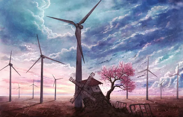 Picture the sky, blue, petals, Sakura, mill, blooming, abandoned, Sakura tree