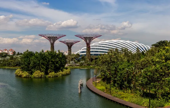 Greens, trees, landscape, design, pond, Park, palm trees, Singapore