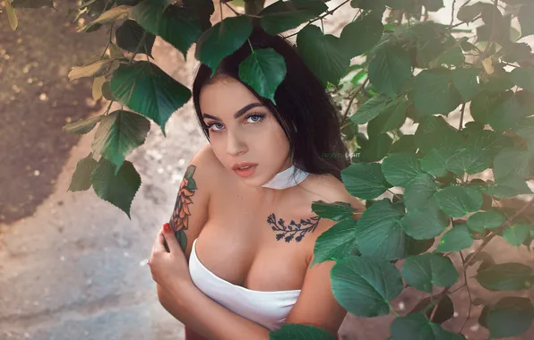 Chest, look, leaves, branches, sexy, pose, model, body