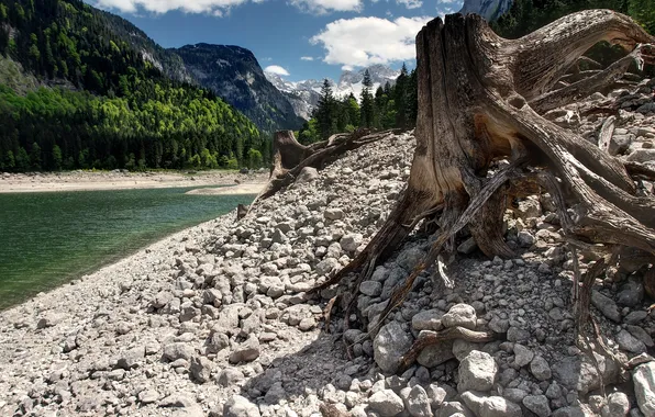 Picture Austria, Republic Of Austria, Republika Avstrija, The Republic Of Austria, Republika Austrija, Vorderer Gosausee