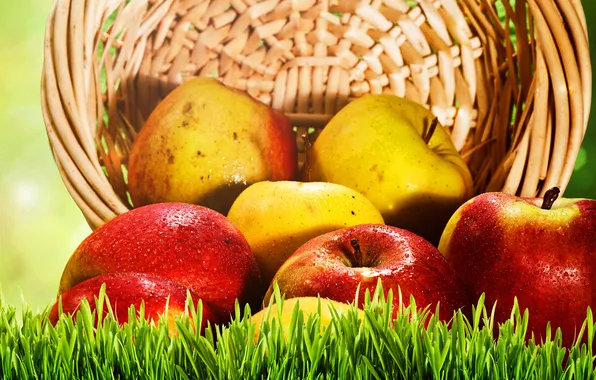 Picture grass, basket, apples, yellow, red, fruit