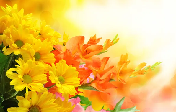Flowers, gladiolus, bouquet.chrysanthemum