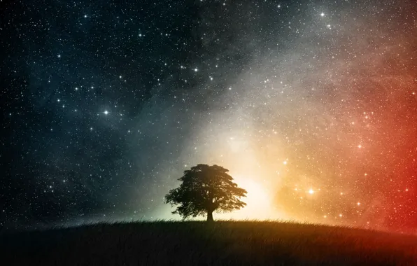 Stars, night, Tree, hill