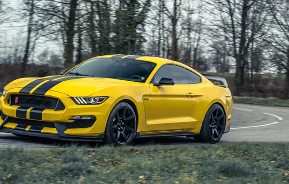 Picture Mustang, Ford, Ford Mustang, Shelby GT350