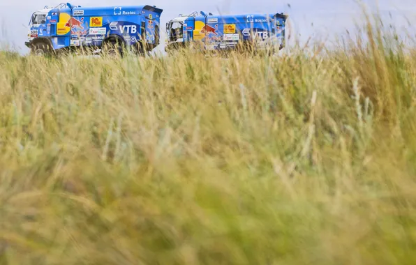 The sky, Nature, Field, Grass, Sport, Speed, Truck, Race