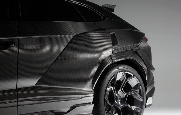 Lamborghini, SUV, SUV, Urus, Urus, Carbon Edition, 2024, Lamborghini Urus R'Evo