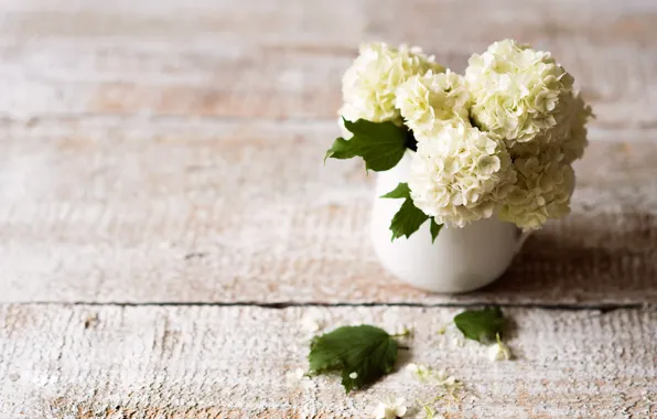 Flowers, Board, still life, flowering, Kalina, buldenezh