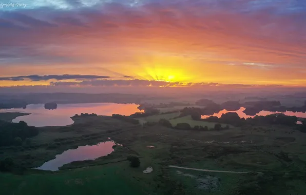Forest, the sky, the sun, rays, fog, lake, dawn, view