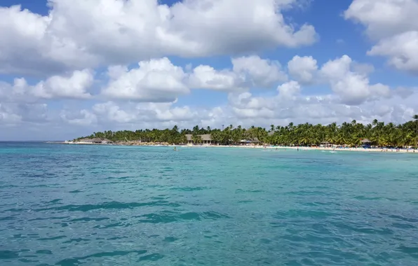 Beach, palm trees, the ocean, exotic, beach, Dominican Republic, Sea