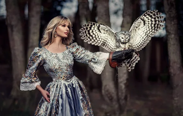 Picture look, girl, pose, owl, bird, dress, blonde, beautiful