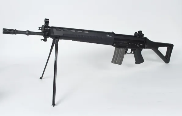 Picture weapons, machine, Swiss, SIG SG 550