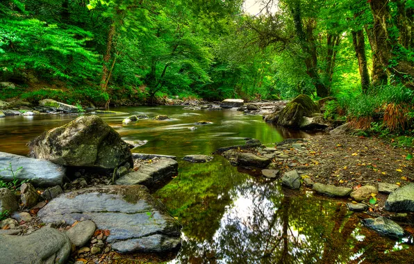 Picture trees, lake, reflection, river, stones, Exmoor, Exmoor