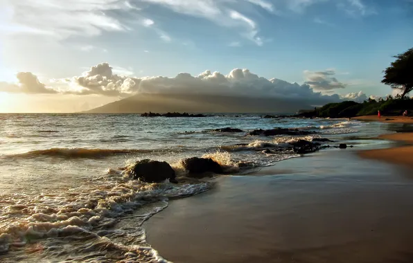 Sea, beach, landscape