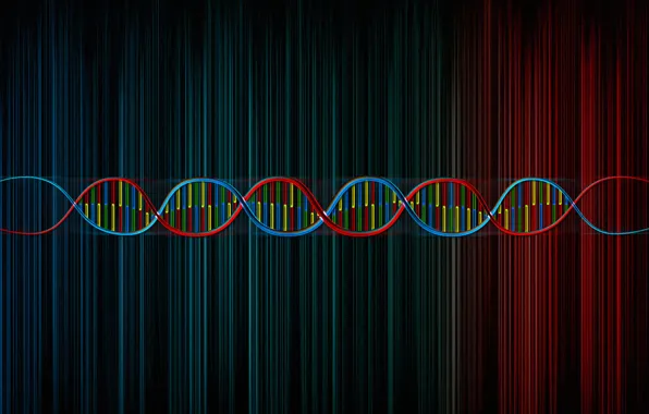 DNA Structure dna structure colorful colors molecule HD phone wallpaper   Peakpx