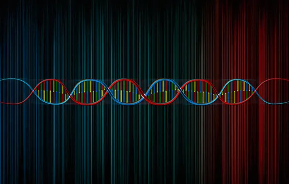 Line, color, spiral, DNA