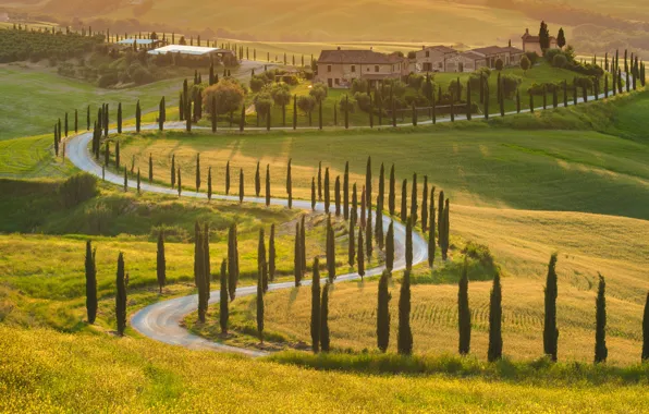 Road, landscape, house, Italy, house, road, landscape, Italy