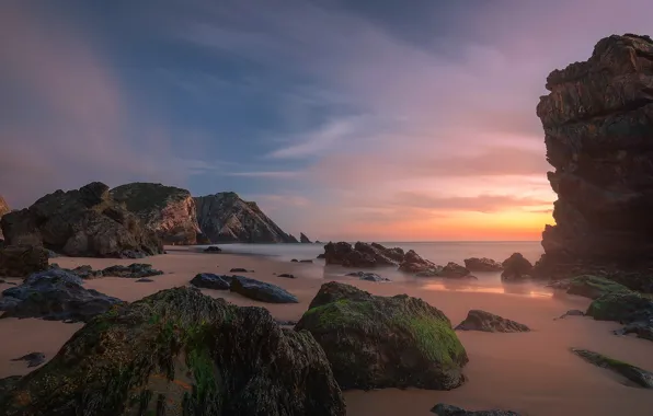 Sea, beach, algae, sunset, stones, rocks, shore