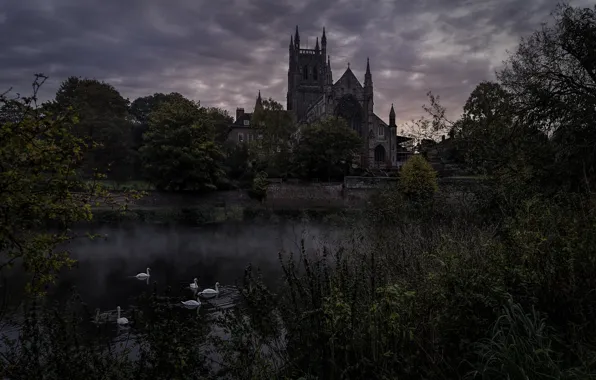 Trees, fog, castle, thickets, Gothic, the evening, twilight, swans