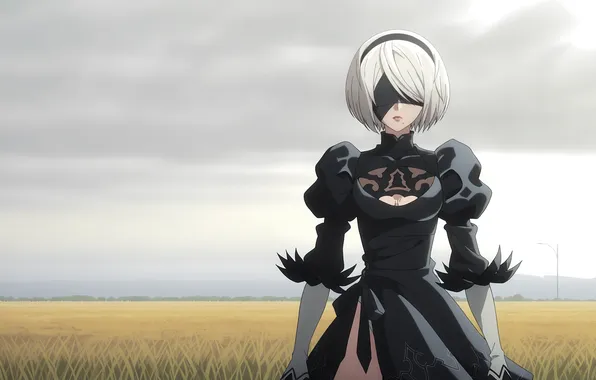 Field, girl, girl, field, woman, nier, automata, yorha