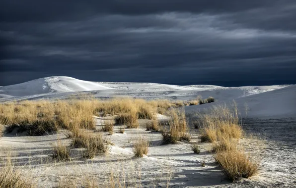 Picture grass, nature, desert