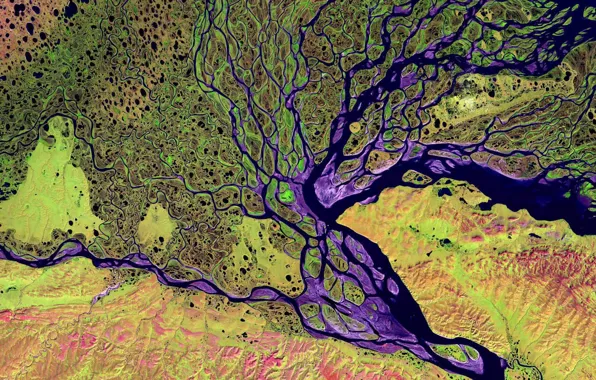 River, Delta, Lena, Siberia