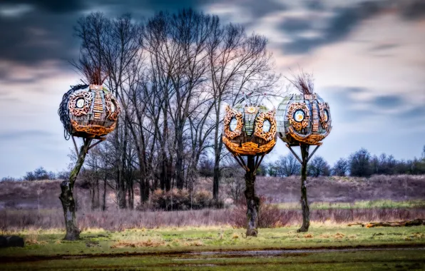 Picture Netherlands, Guelders, Rijkerswoerd, Parc Lingezegen