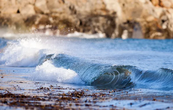 Beach, wave, sunlight